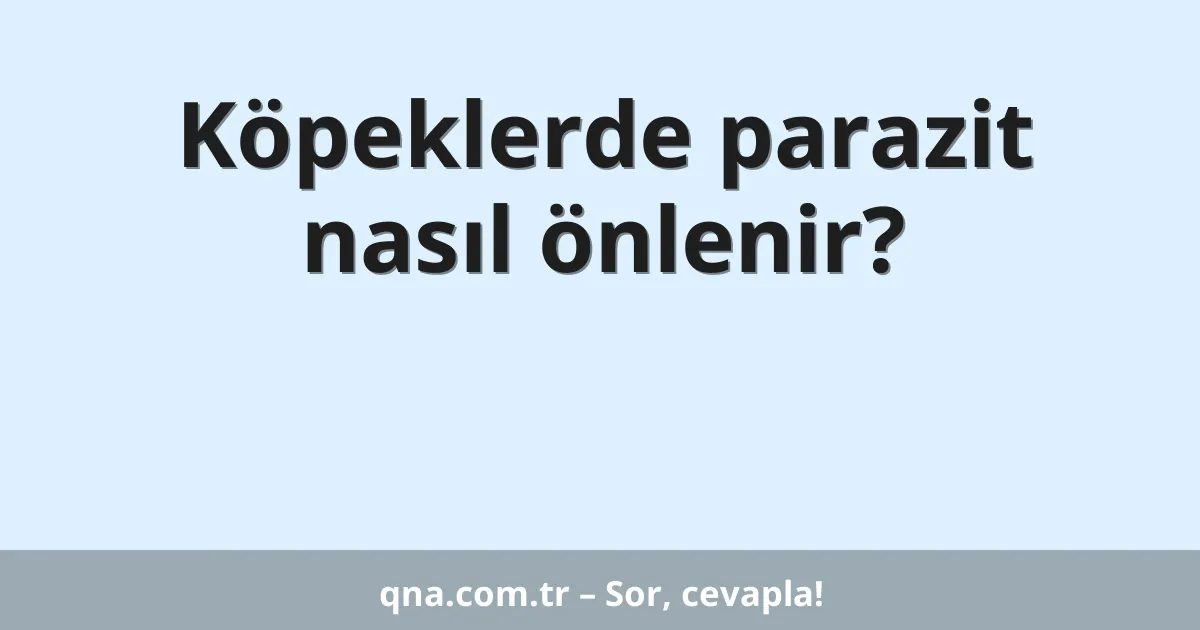 Köpeklerde parazit nasıl önlenir?
