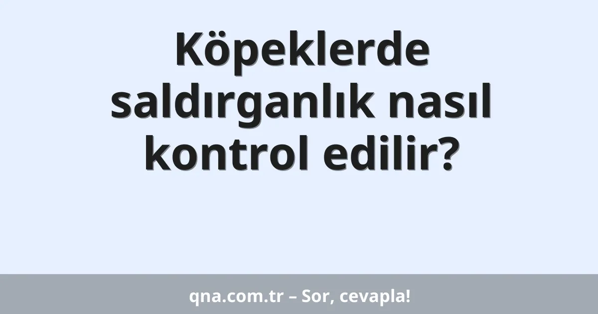 Köpeklerde saldırganlık nasıl kontrol edilir?