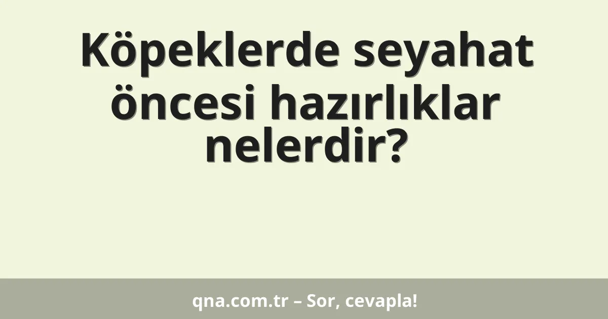 Köpeklerde seyahat öncesi hazırlıklar nelerdir?