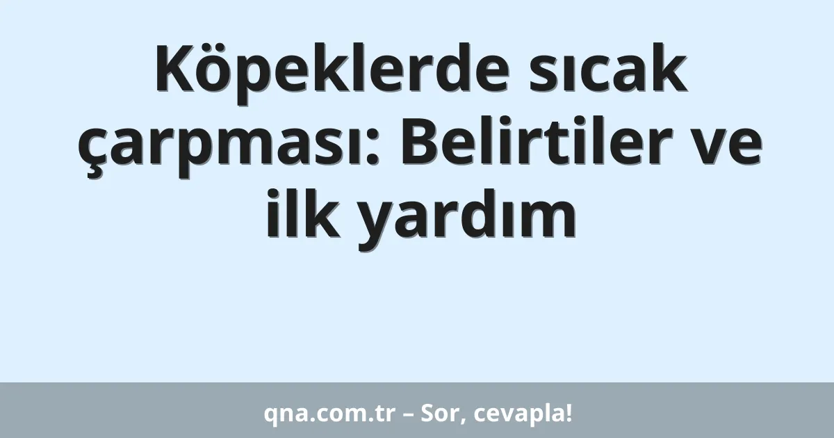 Köpeklerde sıcak çarpması: Belirtiler ve ilk yardım