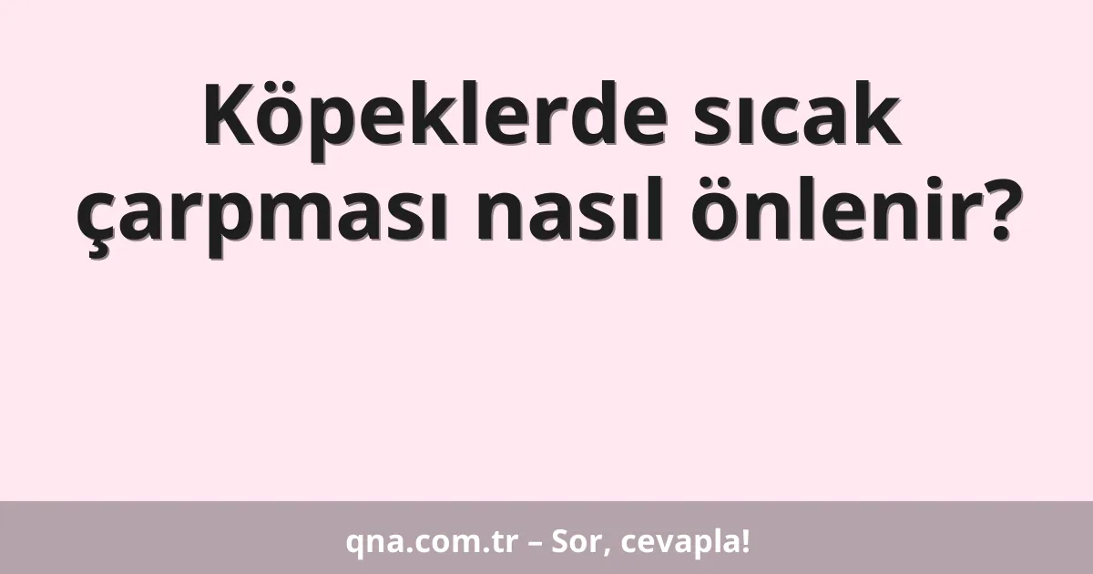 Köpeklerde sıcak çarpması nasıl önlenir?