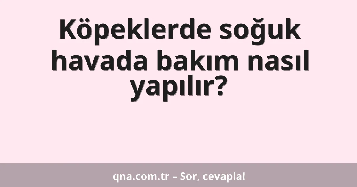 Köpeklerde soğuk havada bakım nasıl yapılır?