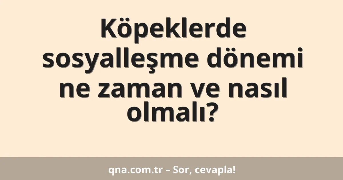 Köpeklerde sosyalleşme dönemi ne zaman ve nasıl olmalı?