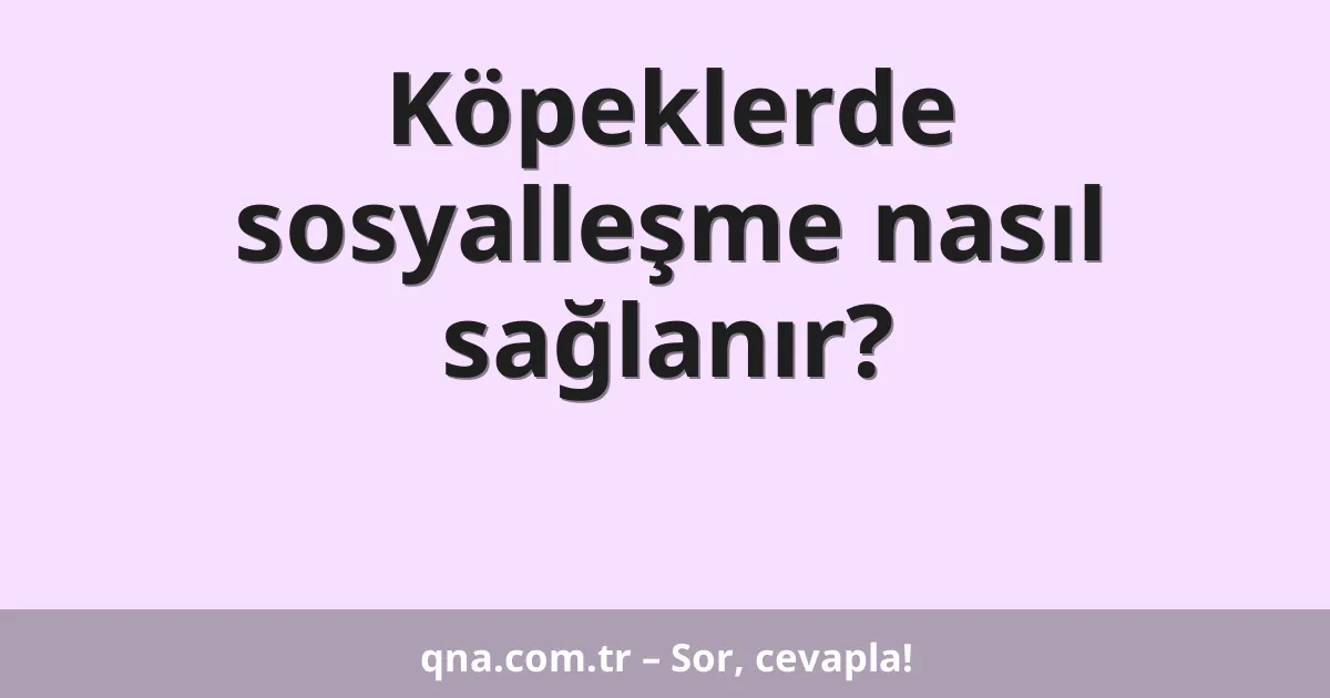 Köpeklerde sosyalleşme nasıl sağlanır?