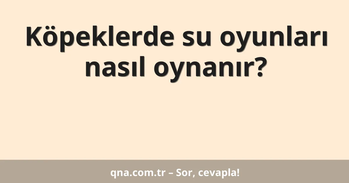 Köpeklerde su oyunları nasıl oynanır?