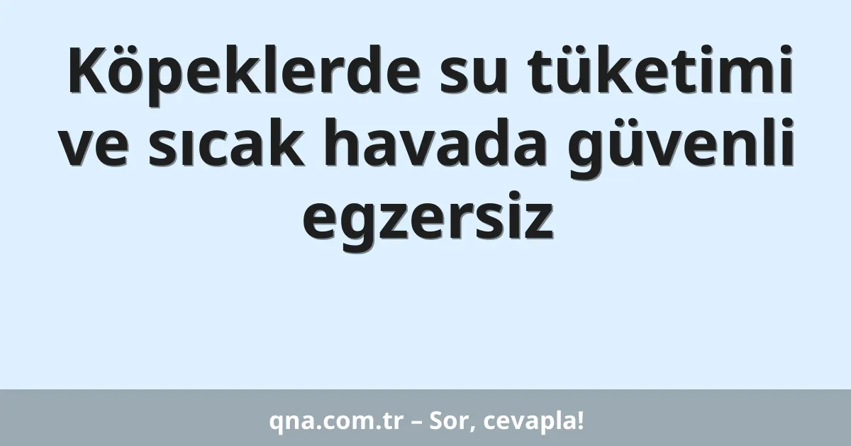 Köpeklerde su tüketimi ve sıcak havada güvenli egzersiz