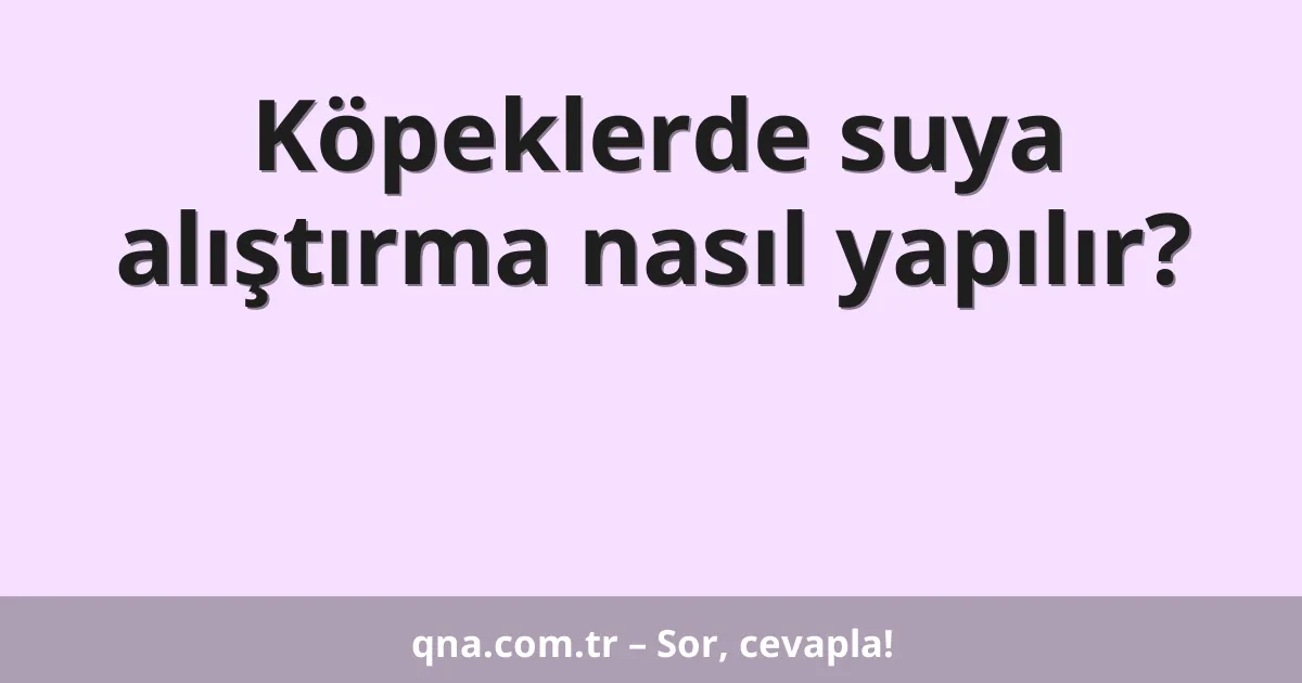 Köpeklerde suya alıştırma nasıl yapılır?