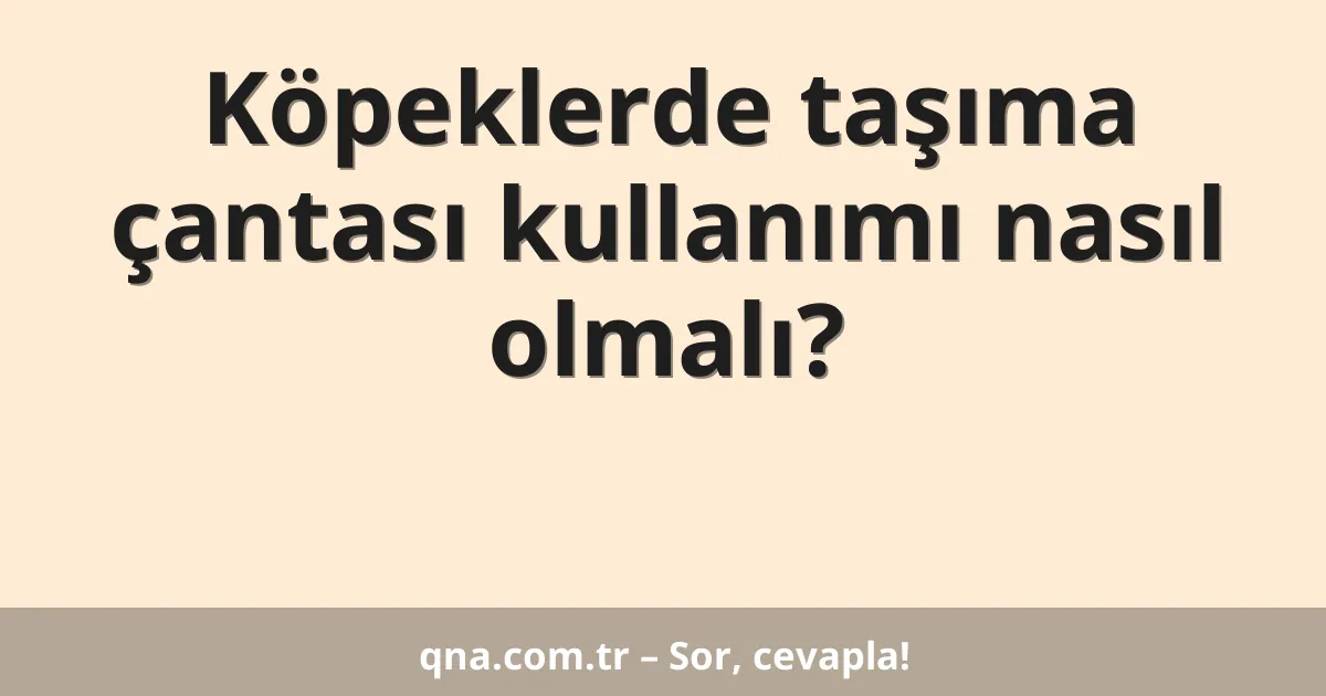 Köpeklerde taşıma çantası kullanımı nasıl olmalı?