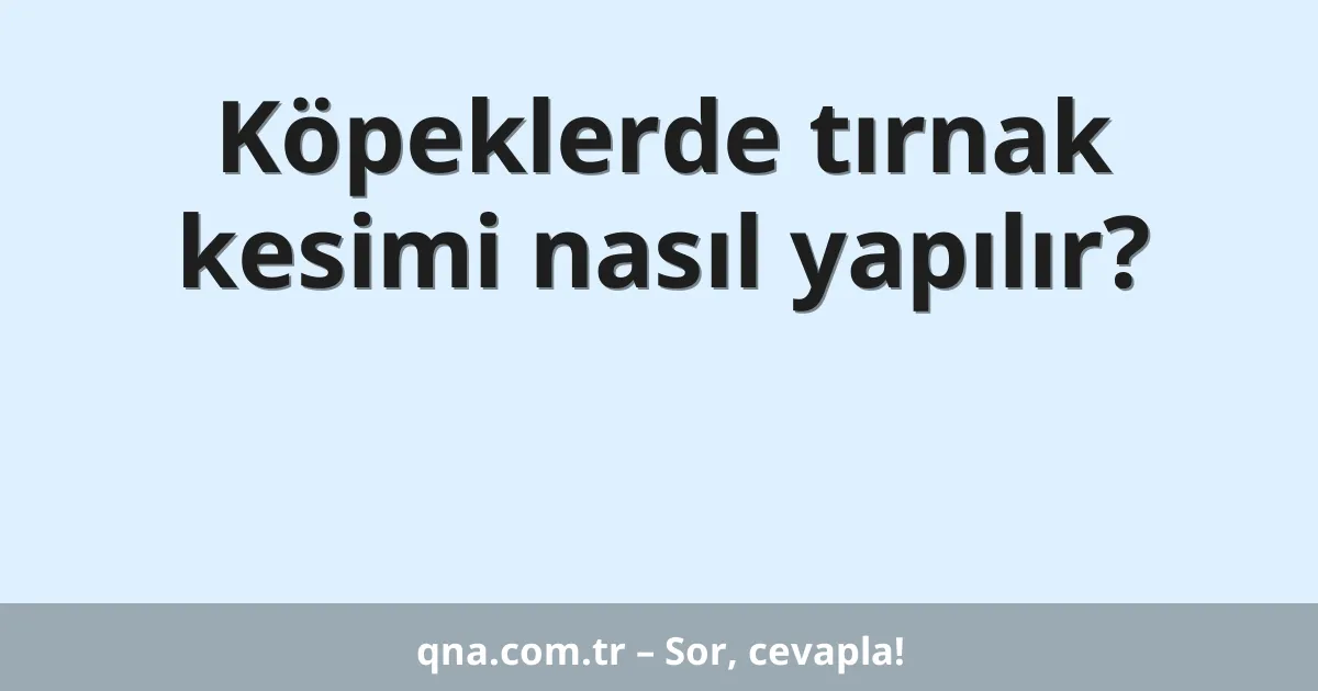 Köpeklerde tırnak kesimi nasıl yapılır?