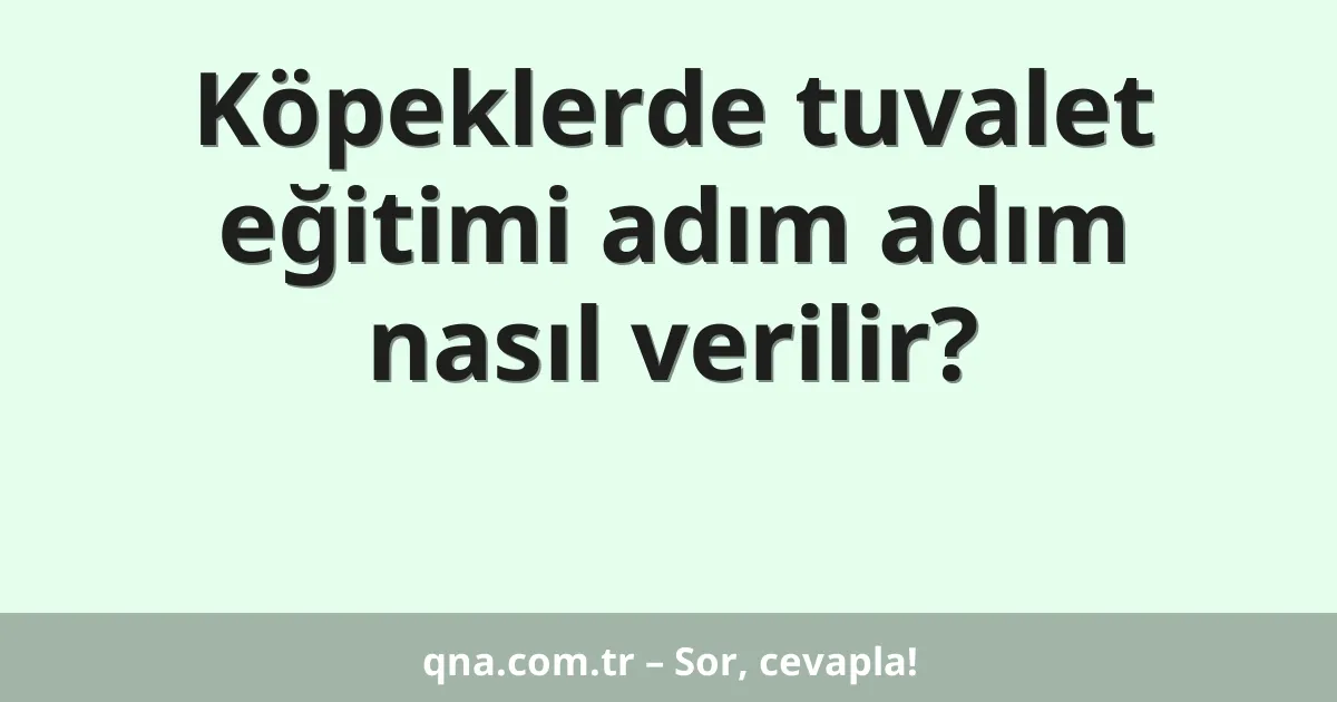 Köpeklerde tuvalet eğitimi adım adım nasıl verilir?