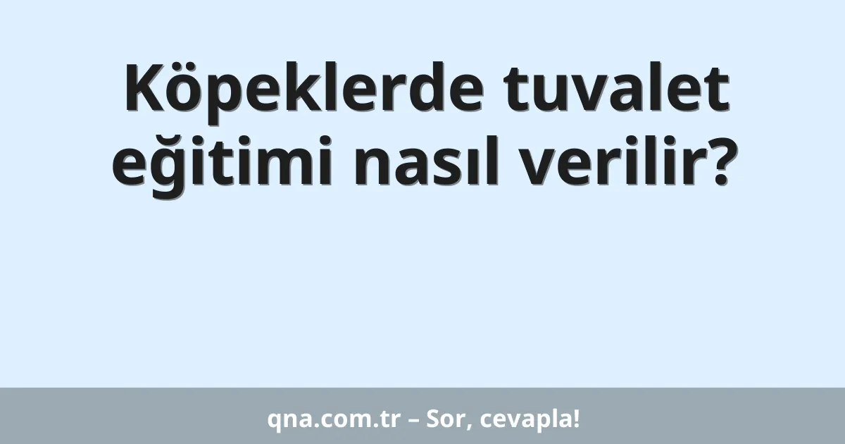 Köpeklerde tuvalet eğitimi nasıl verilir?