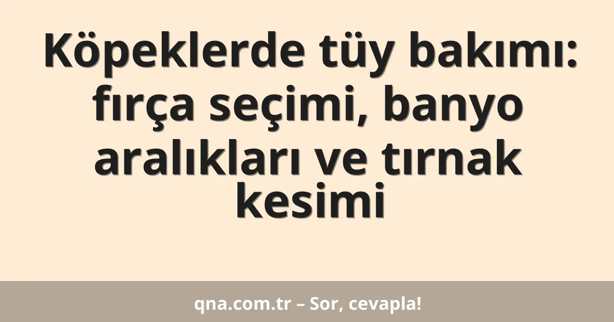 Köpeklerde tüy bakımı: fırça seçimi, banyo aralıkları ve tırnak kesimi