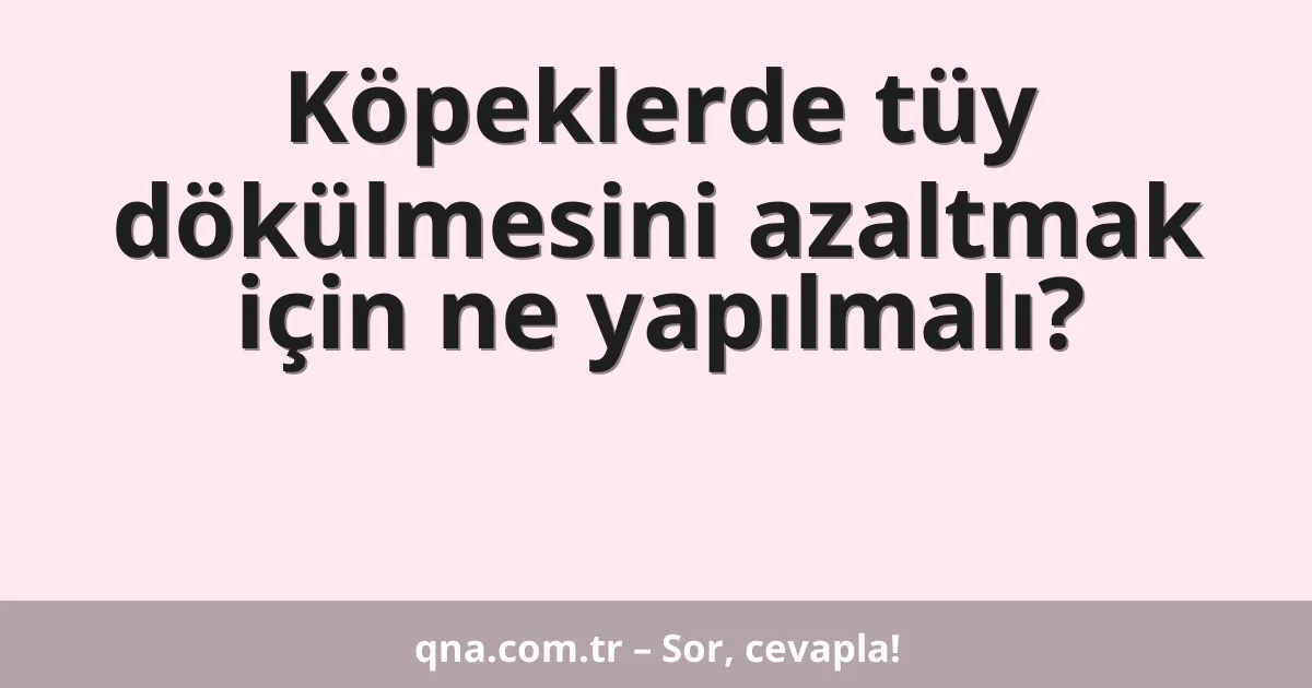 Köpeklerde tüy dökülmesini azaltmak için ne yapılmalı?