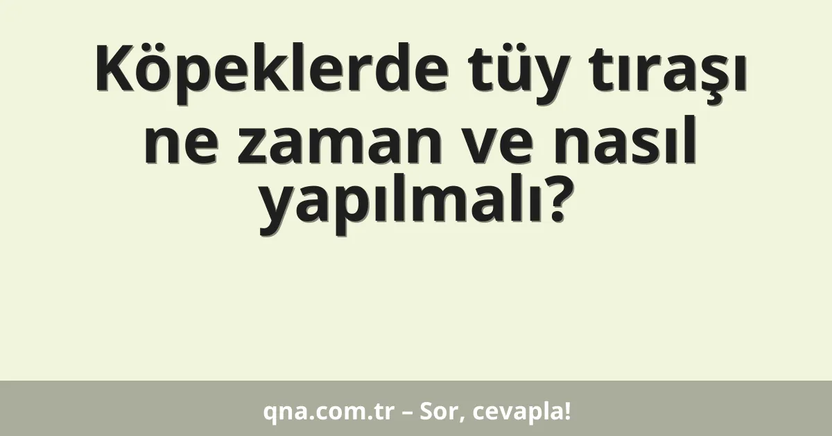 Köpeklerde tüy tıraşı ne zaman ve nasıl yapılmalı?