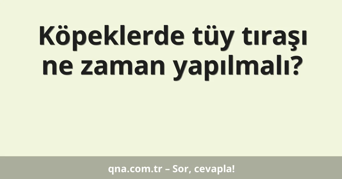 Köpeklerde tüy tıraşı ne zaman yapılmalı?