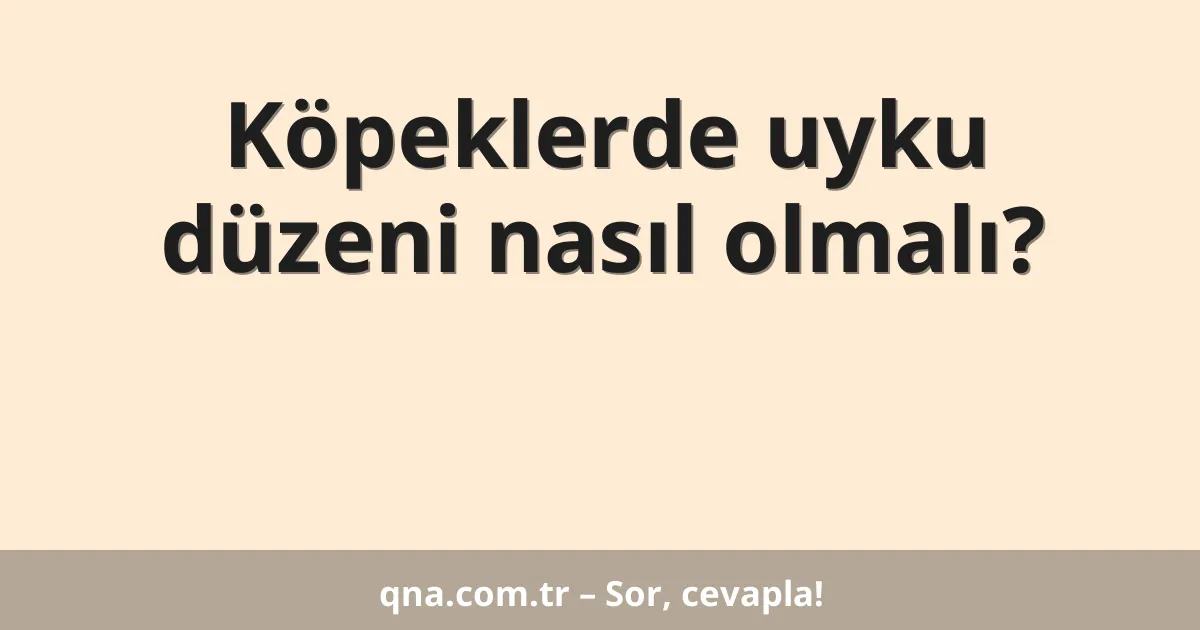 Köpeklerde uyku düzeni nasıl olmalı?
