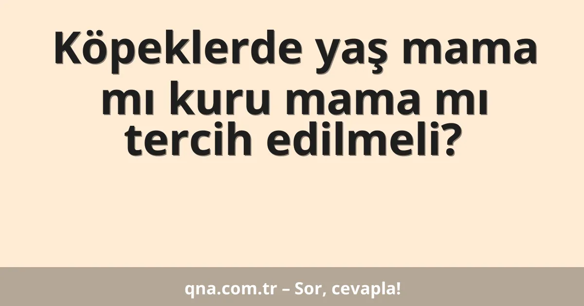 Köpeklerde yaş mama mı kuru mama mı tercih edilmeli?