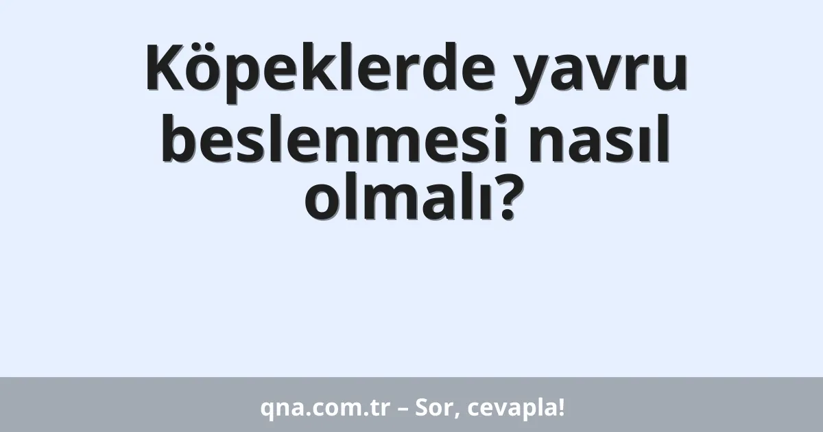 Köpeklerde yavru beslenmesi nasıl olmalı?