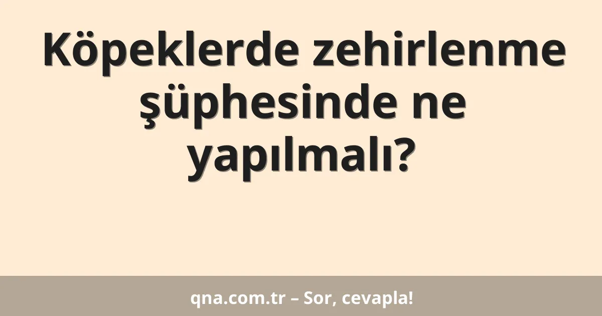 Köpeklerde zehirlenme şüphesinde ne yapılmalı?