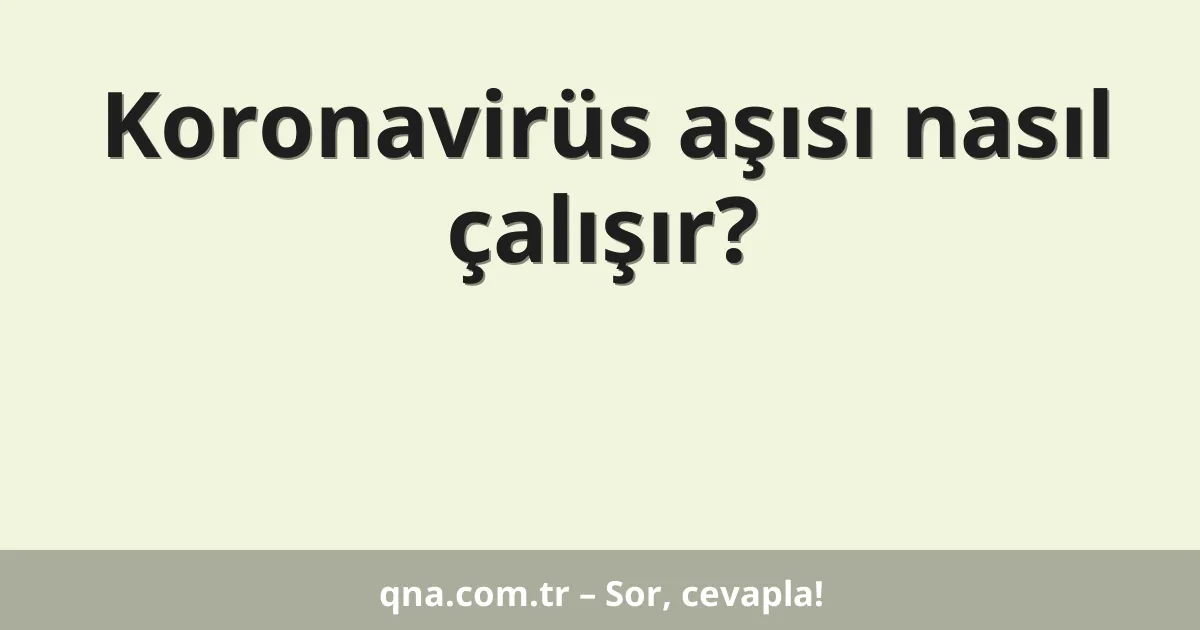 Koronavirüs aşısı nasıl çalışır?