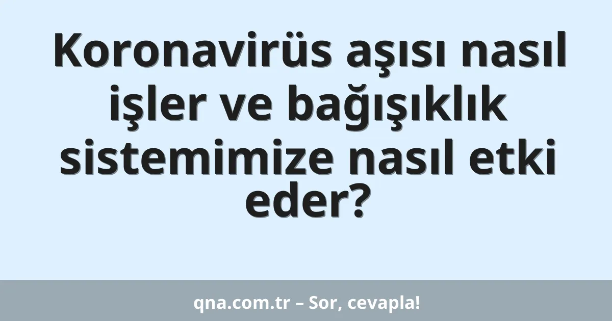 Koronavirüs aşısı nasıl işler ve bağışıklık sistemimize nasıl etki eder?