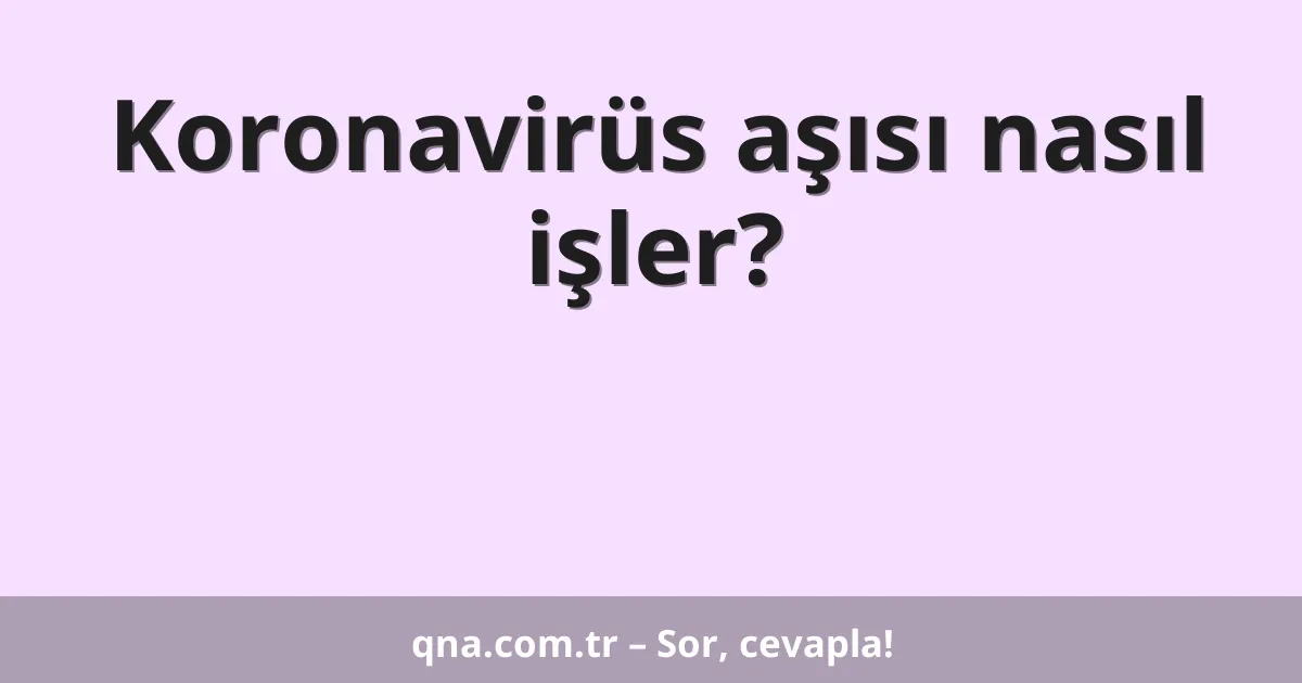 Koronavirüs aşısı nasıl işler?