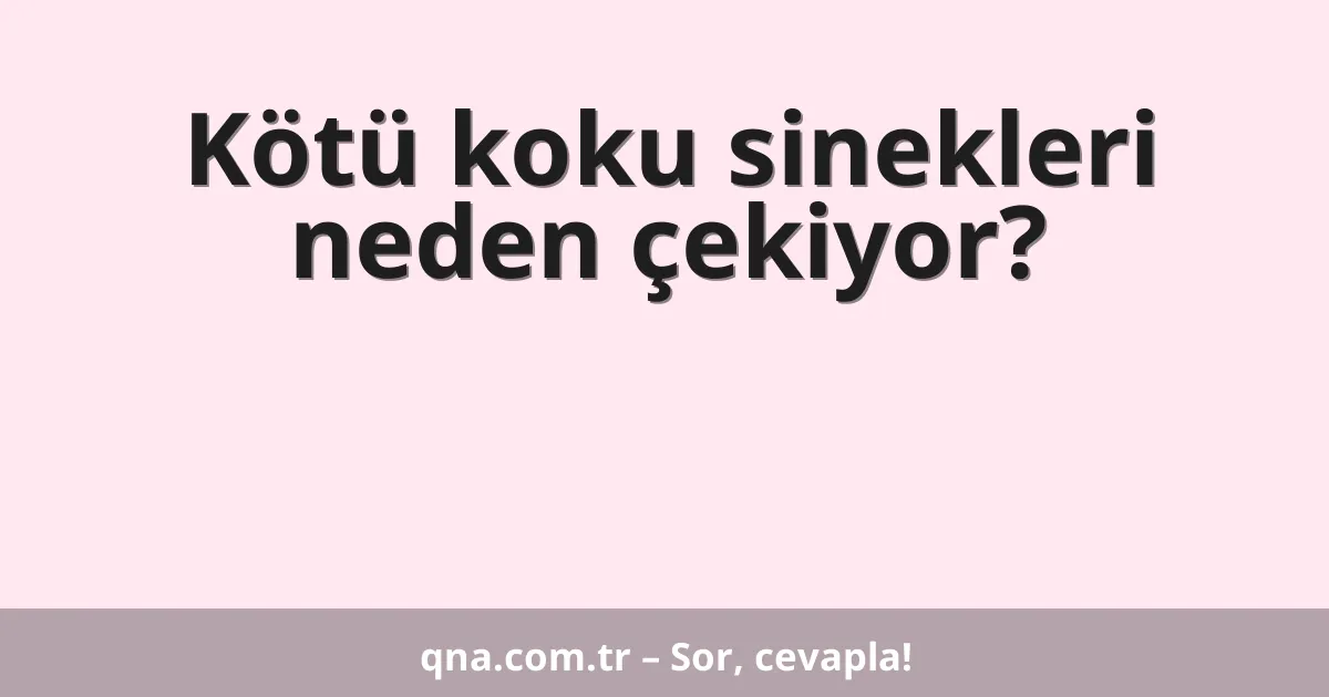 Kötü koku sinekleri neden çekiyor?