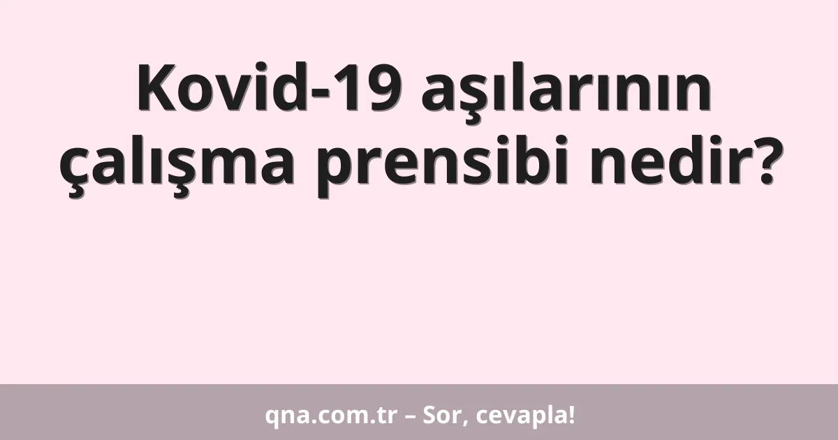 Kovid-19 aşılarının çalışma prensibi nedir?