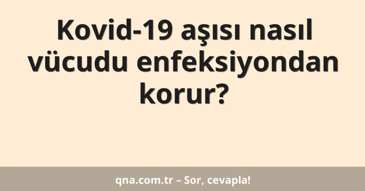 Kovid-19 aşısı nasıl vücudu enfeksiyondan korur?
