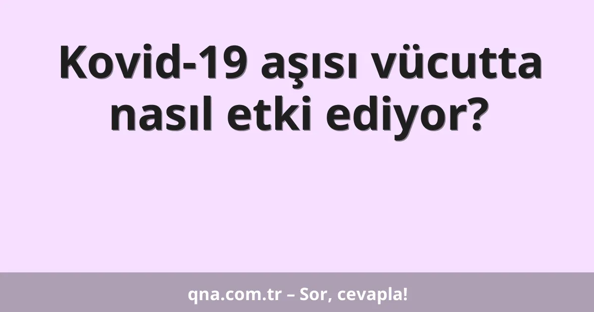 Kovid-19 aşısı vücutta nasıl etki ediyor?