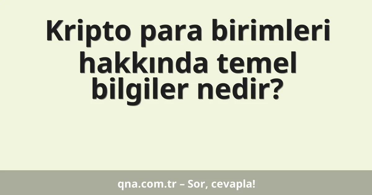 Kripto para birimleri hakkında temel bilgiler nedir?