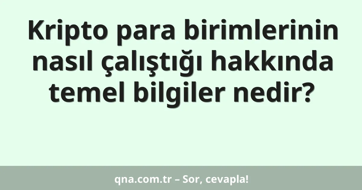 Kripto para birimlerinin nasıl çalıştığı hakkında temel bilgiler nedir?