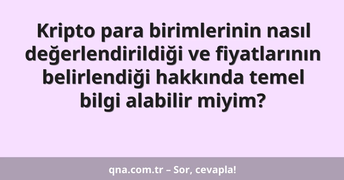 Kripto para birimlerinin nasıl değerlendirildiği ve fiyatlarının belirlendiği hakkında temel bilgi alabilir miyim?