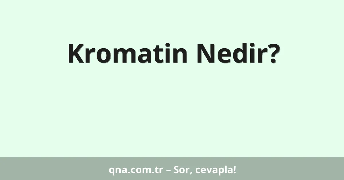 Kromatin Nedir?