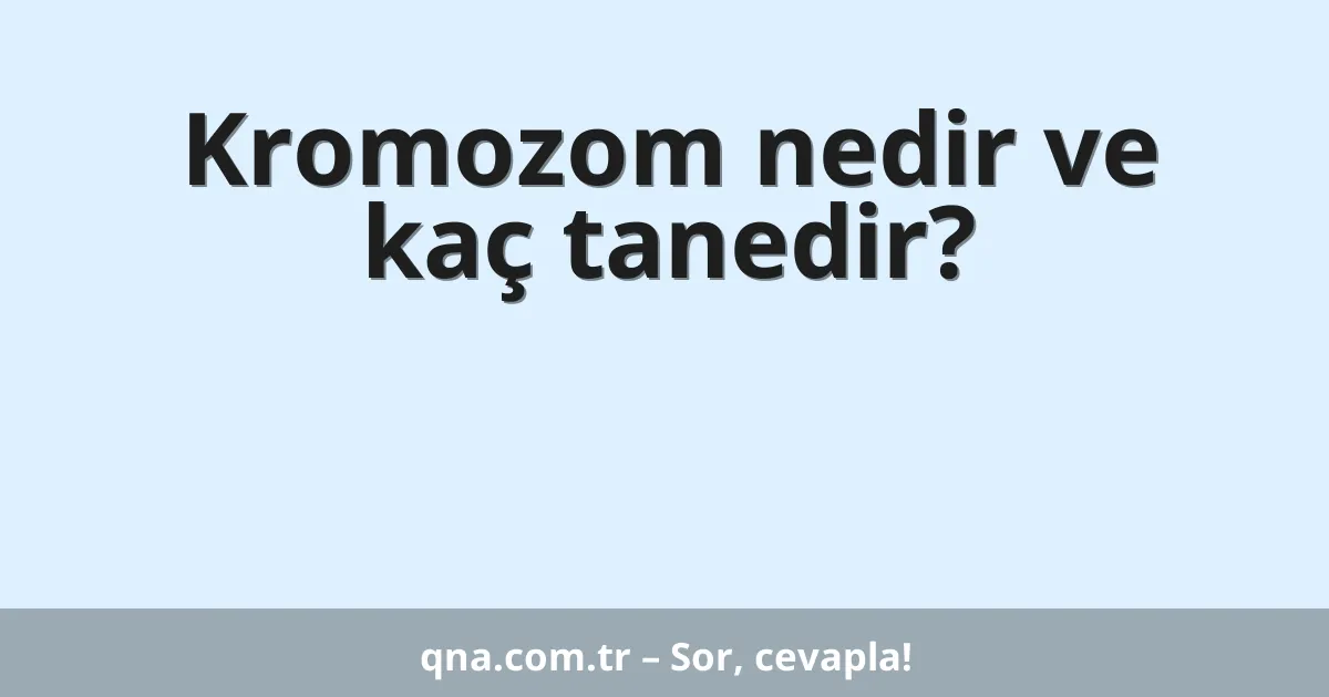 Kromozom nedir ve kaç tanedir?