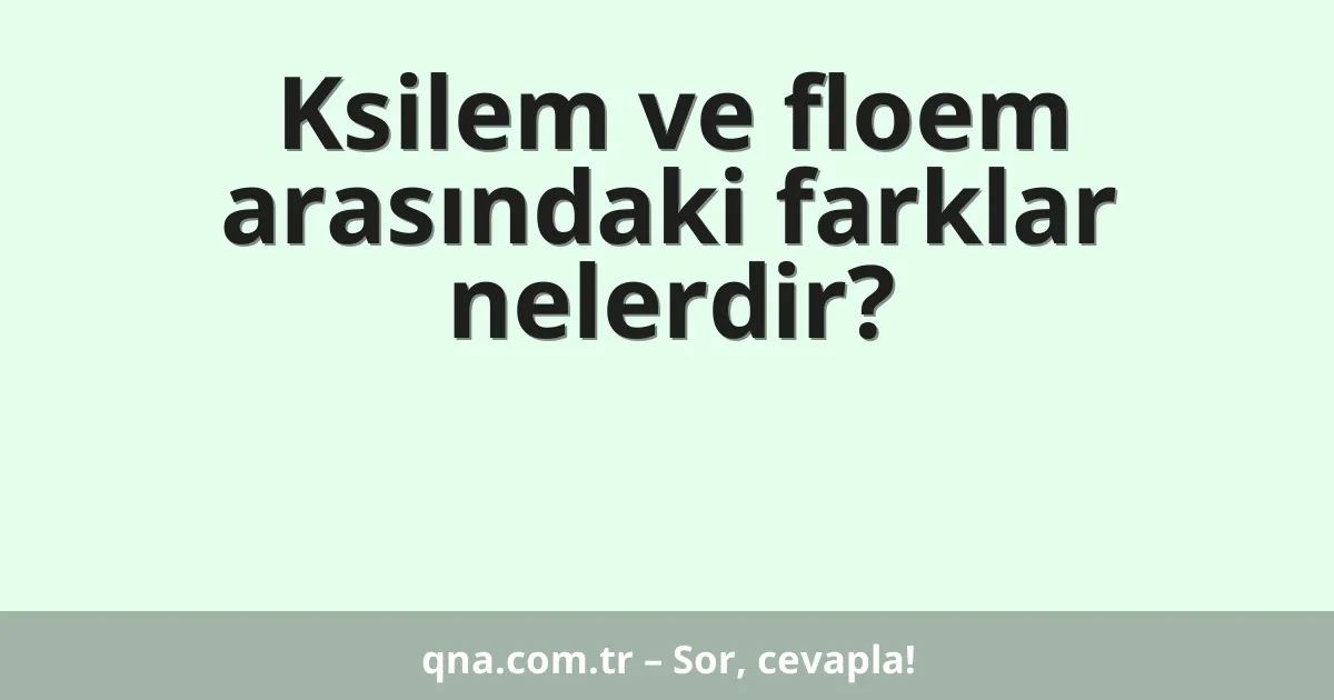 Ksilem ve floem arasındaki farklar nelerdir?