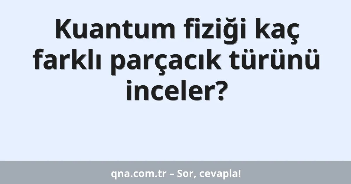 Kuantum fiziği kaç farklı parçacık türünü inceler?