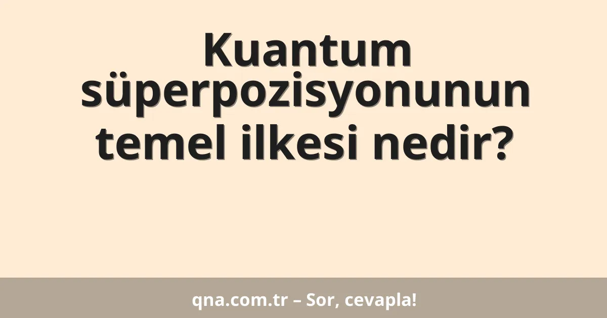 Kuantum süperpozisyonunun temel ilkesi nedir?