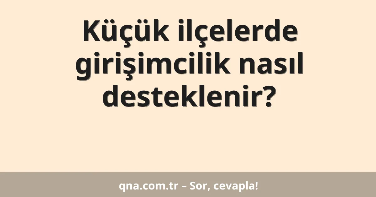 Küçük ilçelerde girişimcilik nasıl desteklenir?