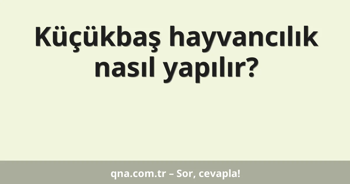 Küçükbaş hayvancılık nasıl yapılır?