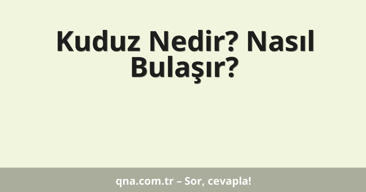 Kuduz Nedir? Nasıl Bulaşır?