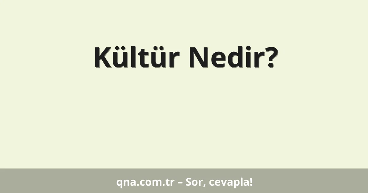 Kültür Nedir?