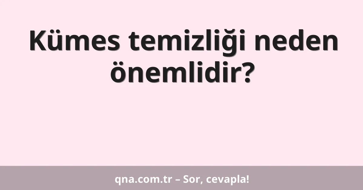 Kümes temizliği neden önemlidir?