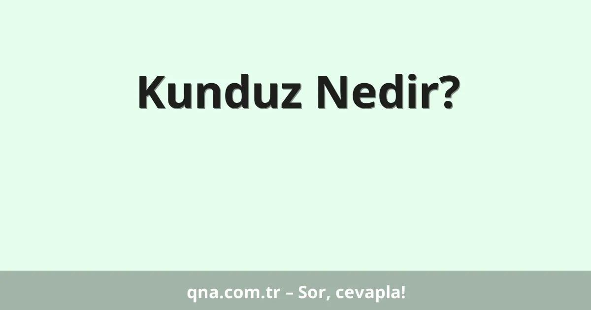 Kunduz Nedir?