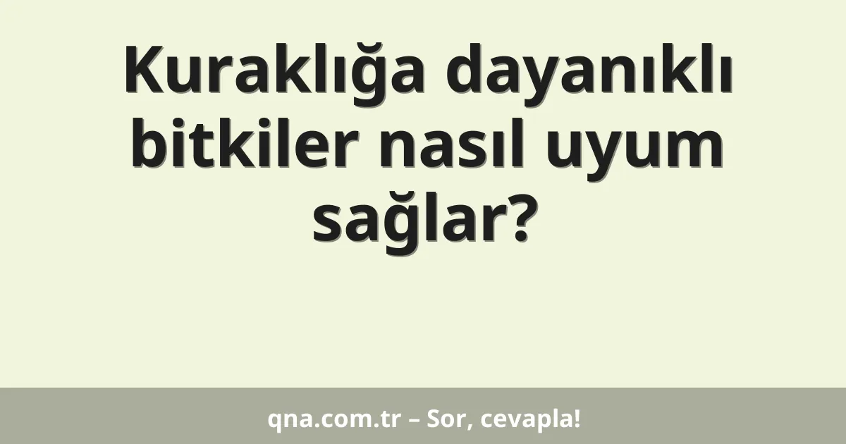 Kuraklığa dayanıklı bitkiler nasıl uyum sağlar?