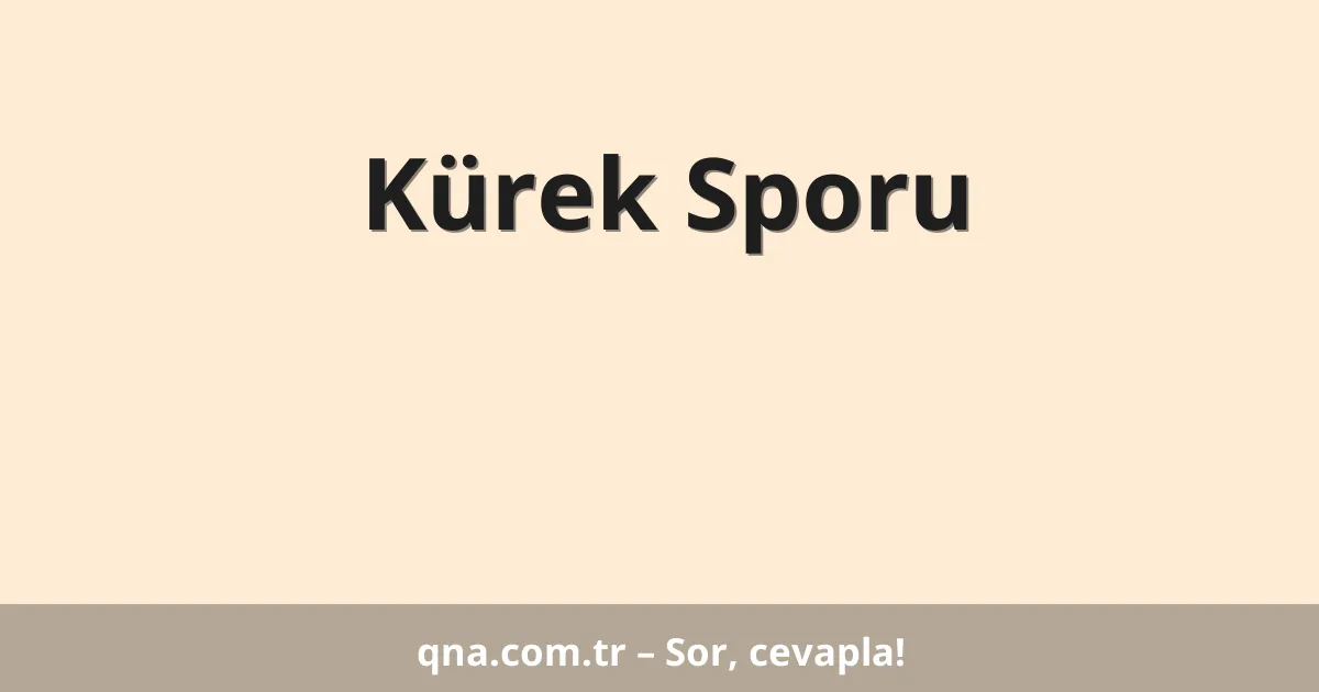 Kürek Sporu