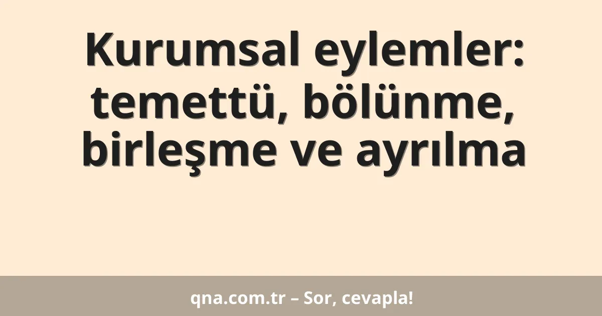 Kurumsal eylemler: temettü, bölünme, birleşme ve ayrılma