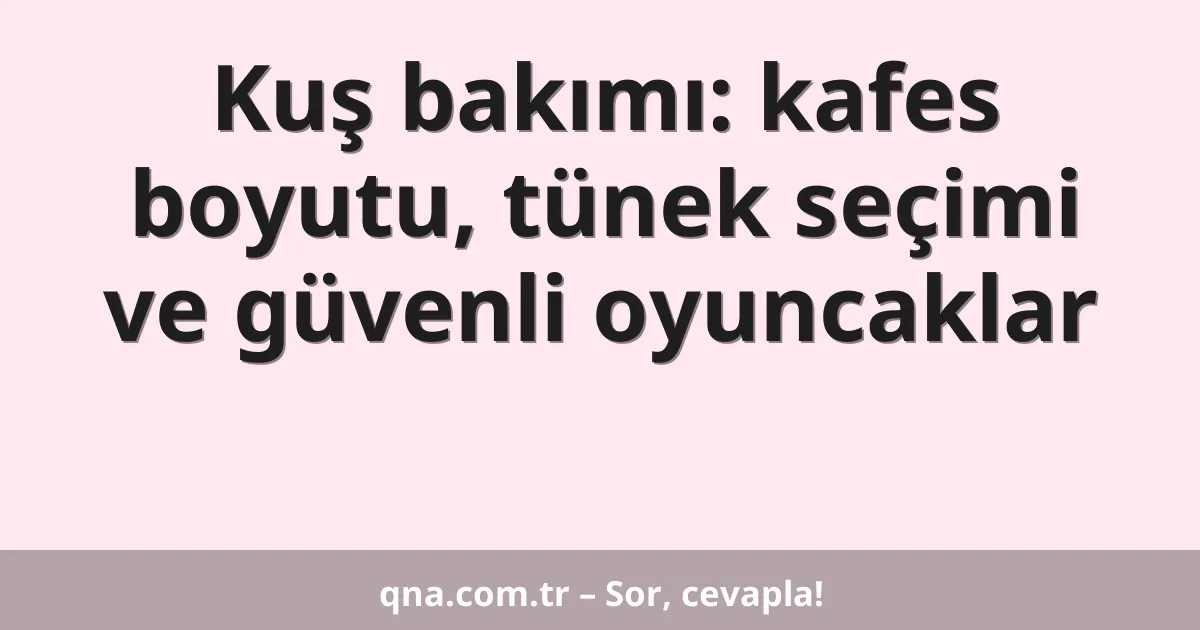 Kuş bakımı: kafes boyutu, tünek seçimi ve güvenli oyuncaklar