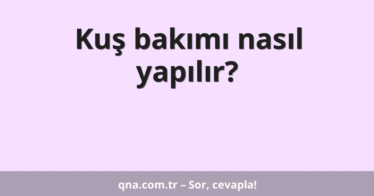 Kuş bakımı nasıl yapılır?