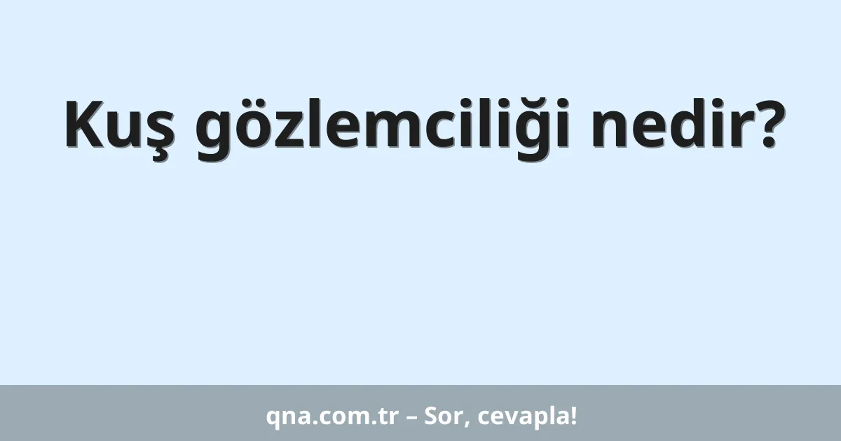 Kuş gözlemciliği nedir?